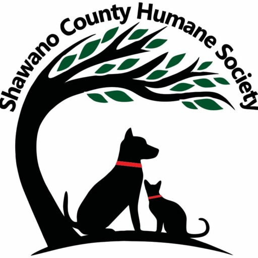 SCHS Logo